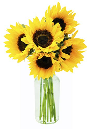 KaBloom - Smile Bouquet of Fresh Sunflower with Vase - Fresh Flowers for Birthday, Valentine's & Mother's Day
