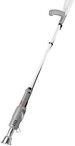 Eckman Quemador eléctrico de malas hierbas y carbón