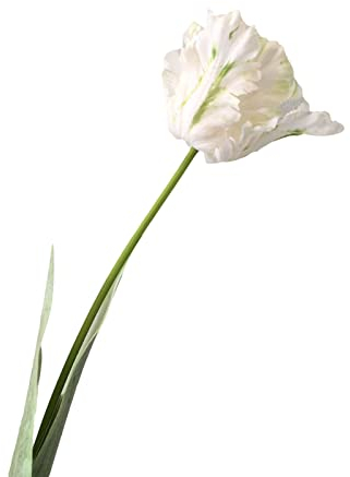 Benoon Kunstblume, 1 Stück, künstliche Blume, lebendig, dekorativ, 68 cm, 3D-Papageientulpe, echte Haptik, Blume für Zuhause, Weiß