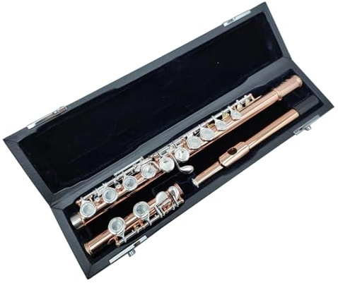 Goldlack-Flöte, geschlossene Löcher, geteilte E-Tasten, 16-Loch-C-Ton-Flöte, Musikinstrument mit Koffer Querflöte für Anfänger