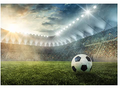 WallArena - Carta da parati fotografica in tessuto non tessuto, per cameretta dei bambini, 416 x 254 cm, motivo: calcio, per ragazzi e ragazzi – Carta da parati fotografica per bambini – Carta da