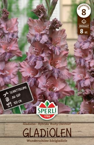 Sperli Gladiole Rusty Chestnut - Elegante Blumenzwiebeln für den Garten, Ideal als Schnittblume, Schneckenresistent, Gladiolenknollen einfach online bestellen