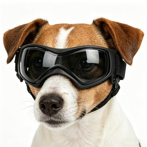 Hundebrille für Kleine und Mittlere Hunde – UV-Schutz Sonnenbrille mit einstellbarem Gummiband, wasserdichte & Winddichte Hundeschutzbrille, Trendige Motorradbrille für Welpen & Kleine Rassen (Black)
