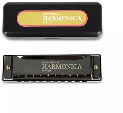 Mundharmonika 10-Loch-Blues-C-Ton-Mundharmonika für Anfänger(Black)