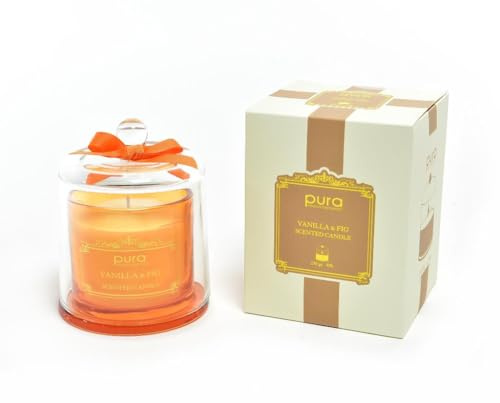 Candela profumata Vanilla & Fig 230g in campana di vetro – Profumo dolce di vaniglia e fico – Idea regalo elegante