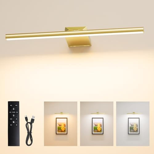 Nulmvic Bildbeleuchtung Kabellos, 30 CM 10000mAh Wandleuchte Innen Akku | Fernbedienung, 3 Farbtemperaturen, 5 Beleuchtungsintensität, CRI 95+ für Malen Foto Portrait, Dart Beleuchtung, Gold