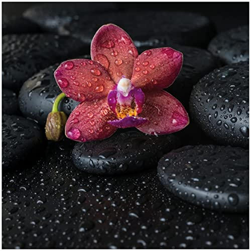 Wallario Memoboard aus Glas mit Motiv, Magnet-Tafel in 50 x 50 cm in Premium Qualität Orchideen-Blüte auf schwarzen Steinen, benetzt mit Wasser-Tropfen