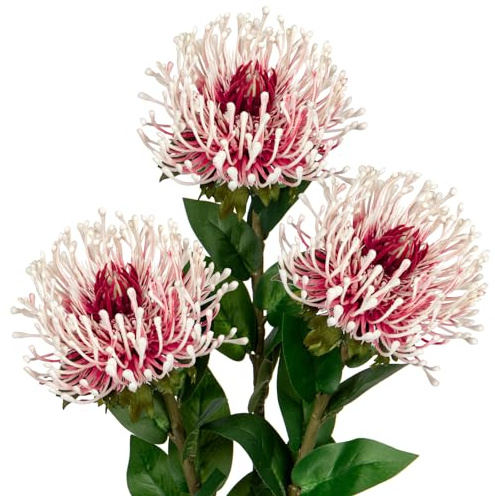 Oairse 4'' Large Artificial Chrysanthemum Flowers 3PCS Fake Spider Mums Flowers with 72cm Long Stem White Red Faux Leucospermum Cordifolium Flower for Wedding Flora Arrangement Bouquet