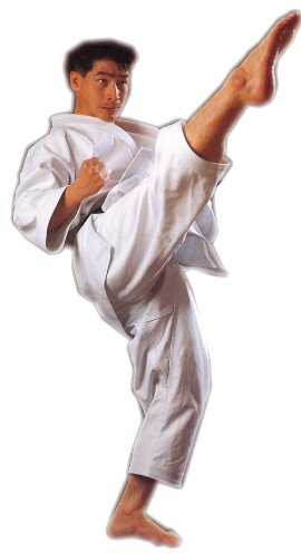 Shureido Karategi Sensei Tournament TK-10