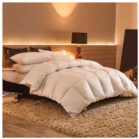 HonunGron Daunendecke Winter Extra Warm Winterdecke aus Federn and Daunen Dicke Bettdecke Daunen Schwer Winterdecke Flauschig Federbetten Flauschige Steppdecke (Weiß,220x240cm (5kg))