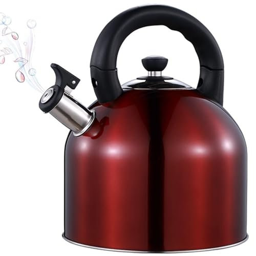 Bollitore in acciaio inox – Bollitore da tè a fischio da 3 L per piano cottura a induzione – Teiera ad ebollizione rapida per acqua calda
