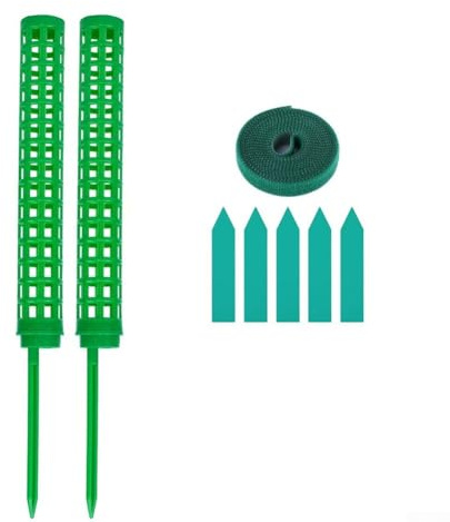 Perche en mousse de 25 cm pour plantes grimpantes avec design empilable réglable, matériau plastique imputrescible pour Pothos Philodendron Adansonii Deliciosa (vert)