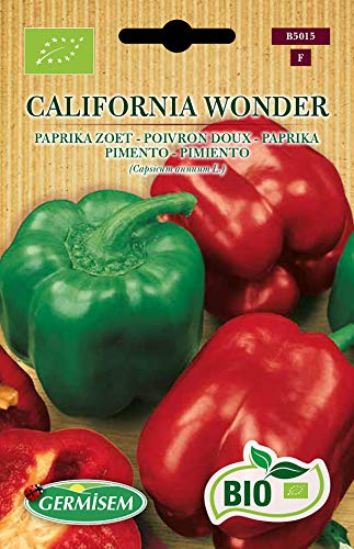 Germisem Biologico California Wonder Semi di Paprika 0.1 g