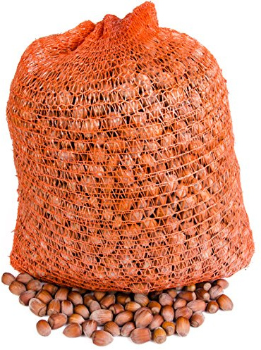 Noisettes crues en coque | 25 kg | de Pologne | Premium | Fraîche