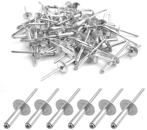 60 rivetti ciechi in alluminio con grande flangia, rivetti ciechi in alluminio, set di rivetti ciechi di qualità industriale, confezione da 60 (argento) (4,8 mm x 12 mm)