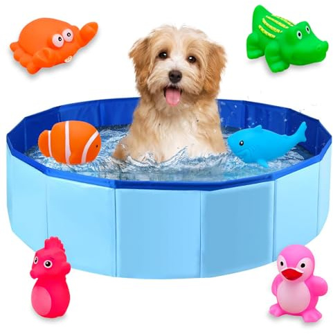 Faltbar Hundepool,Schwimmbad für Hund,Hunde Planschbecken für Haustiere,Faltbarer PVC Hundepool für Kleine Hunde,Schwimmbecken mit 6 Wasserspielzeug,Mini Pool für Katzen,50×8 cm, 1 Stück