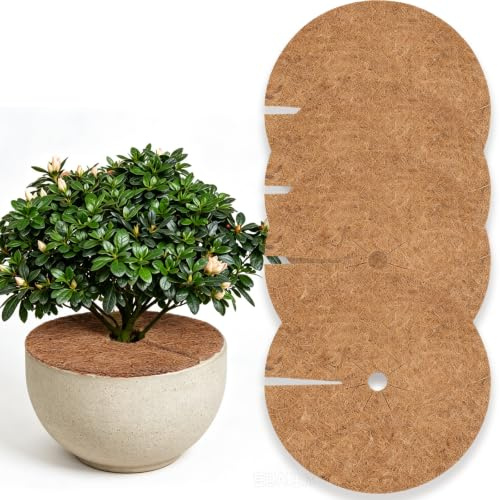 FDKene 4 Stück Kokosmatten für Pflanzen, Biologisch Abbaubar, Runde Mulchscheiben mit Abdeckplatte, Winterschutz für Topfpflanzen, Wurzelschutz und Unkrautbarriere, Ganzjähriger Pflanzenschutz, 40 cm