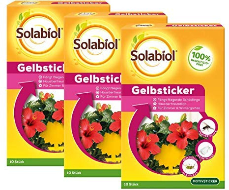 Solabiol - Adesivo Giallo