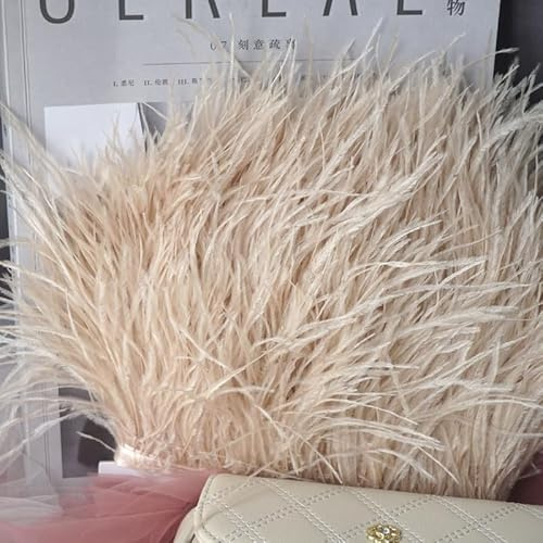 GreatRise 1m Natürlichen Straußenfedern Borte Plüsch Federband Federborte zum Basteln Federn Fringe Trim Fransen mit Satinband für DIY Nähen Hut Kleidung Kostüme Dekoration Beige#3 10-13cm