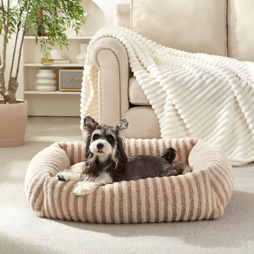 MIXJOY Dog Beds for Small Dogs Cats, Washable Dog Bed with Removable Cover, Soft Calming Cat Bed for Indoor Cats, Rectangle Pet Sofa Bed for Puppy Kitty, Anti-Slip Bottom,20x19x6, Beige