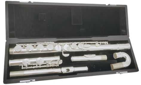 Altflöjt G 16 Med Slutet Hål Försilvrat Instrument Med Fodral