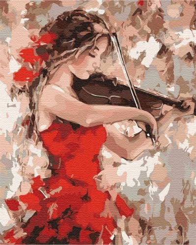 Artnapi Pintura por números Adultos con marco | DIY pintado a mano | Mujer con violín | Kit para principiantes y adultos | Set que incluye pinturas acrílicas y pinceles | Lienzo 40x50cm