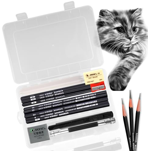 oupados Set di matite dirette, 24 matite da disegno, matite in grafite, estensore per matite per schizzi, gomma, coltello taglierino, tergicristallo per disegni, artisti, adulti, amanti degli schizzi