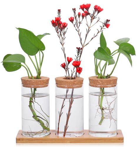 Fentar Cuttings Station, vaso per piante da terrario con base e tappo in legno, stazione di propagazione elegante, vaso idroponico per tazze di fiori, decorazione per ufficio o casa