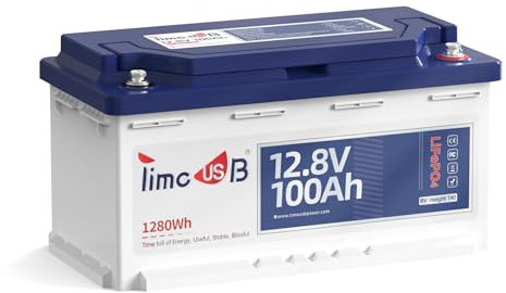 Timeusb Batterie Lithium 12V 100Ah Batterie LiFePO4 H190,15000+ Cycles Profonds,BMS 100A Intégrée 1280Wh Solaire Rechargeable Hauteur 189MM Parfait pour Sièges de Camping-Cars Camper Caravane