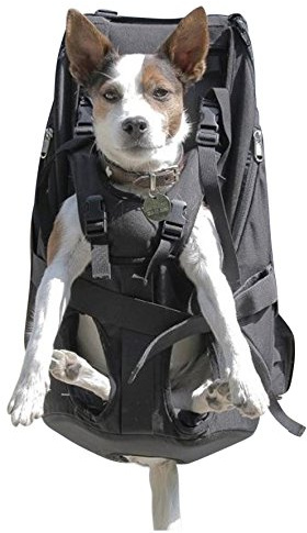Mochila y Arnés de Transporte para Perros - Bolsa Portador y Caja para Perros de 15-30kg