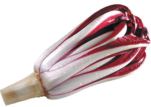 Bolly Bulbs® - Chicory Radicchio 'Rossa Di Treviso' (500 Seeds)