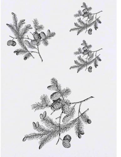 Azeeda 4 x 'Fir Tree Branch' Temporary Tattoos (TO00093932) | Mixed-Size Water Resistant Skin Safe Transfers for Parties and Costumes