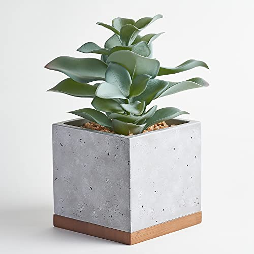 Seirai Living Co. 8 Inch Artificial Succulents in Pots, Artificial Plant Decor, Faux Succulents Plants Artificial, Fake Office Desk Plant, Coffee Table Shelf Decor (Sage Green)