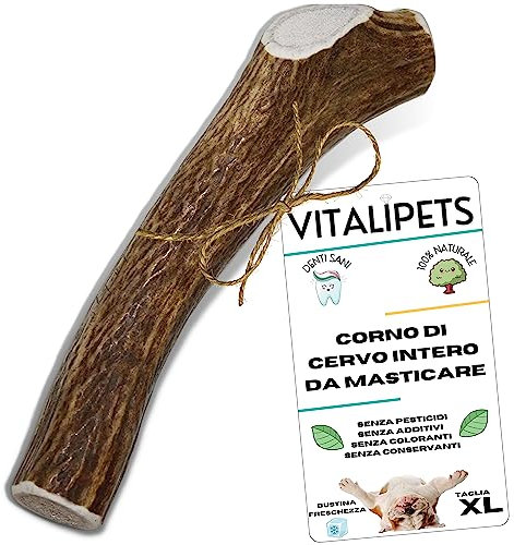 Corno di Cervo per Cani | Taglia XL 30 a 45 Kg | Pulizia Denti Naturale | Masticazione Lunga Durata | Ricco di Calcio e Minerali | Alternativa agli Ossi Industriali | Antistress per Cani Attivi
