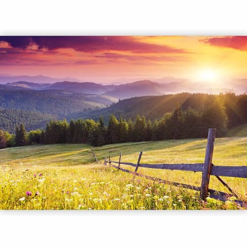 murando Premium Photo Wallpaper Landscape Gebirge 350x256 cm / 138x97 Non-Woven Premium Art Print Fleece Wall Mural Decoration Poster Picture Design Modern - Meadow Forest Nature c-B-0538-a-a