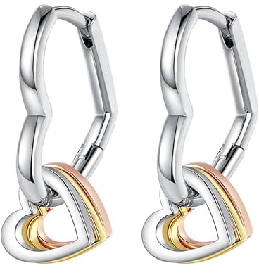KUNSIR Silver Earrings for Women Earrings, 1 Pair of 925 Sterling Silver Drop Earrings Hypoallergenic for Women and Girls Best Gifts