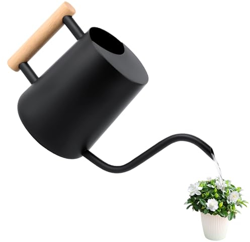Annaffiatoio da 1 l, per piante d'appartamento, piccola per interni, con beccuccio lungo e comodo manico in legno, in acciaio inox, colore nero, per piante grasse, annaffiatoio da giardino in metallo