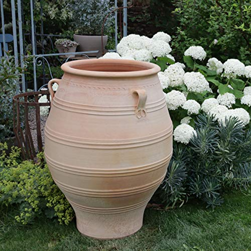 Palatina-Keramik | XXL Amphore aus Terracotta | 100 cm | frostfest | mediterrane Pflanzgefäße Pflanzkübel für Garten Terrasse Balkon Außenbereich Thymus 100 cm