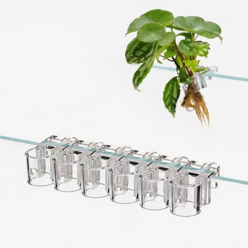 InYoHui Aquarium Plant Holder 6Pcs Transparent Fits 10mm Glass | Tool-Free Screw Adjustment, Roots Hang Freely for Nutrient Absorption, for Aquaponic Plants and Aquascaping