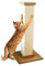 Smart Cat The Ultimate Scratching Post