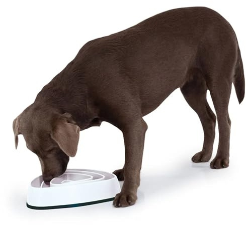 Edupet 06027AA Futternapf, Anti-schling Napf, Fressnapf, Feeder slow Eating, Slow Feeder, für kleine bis mittelgroße Hunde, 300ml, Durchmesser: 21 cm, beige