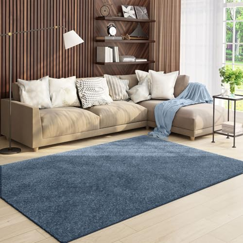 VIMODA Teppich Wohnzimmer Kurzflor Einfarbig für Schlafzimmer kinderzimmer weicher pflegeleichter, versch.- Größen, Farben, Farbe:Baby.Blau, Size:80x150 cm