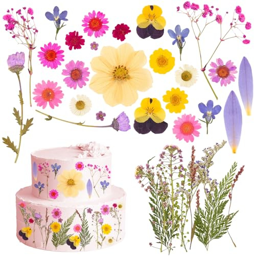 36 Pcs 18 Types of Wildflower Cake Toppers, Flower Cake Decorations, Pressed Flowers, Dried Flowers for Cakes for Birthday, Party, Wedding
