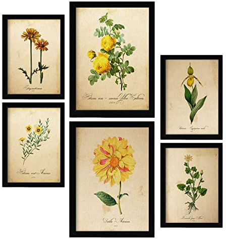 Nacnic Gelbe Blumen Postern. Vollfarbige Natur- und Botanikdrucke mit Blumenmotiven im Vintage Papier Stil. Innenarchitektur und Dekoration. A4 & A3.