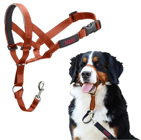 HALTI Kopfgeschirr - Verhindert, dass Ihr Hund an der Leine zieht, Einfache Anpassung, Leicht, mit gepolstertem Nasenriemen, Anti-Zug-Halsband für große Hunde (Größe 4, Dunkelorange)