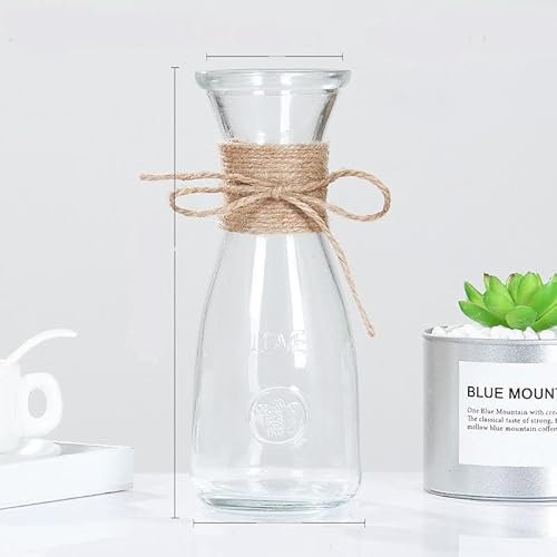 Vasi in vetro per fiori con corda di spago, piccolo vaso da fiori in vetro trasparente, vaso per fiori per bulbi di giacinto, avocado, vasi per germogli per casa e ufficio centrotavola da tavolo