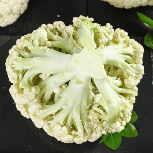 semillas de coliflor silvestre, orgánicas, exóticas. variedades antiguas, jardin balcon, 550pcs