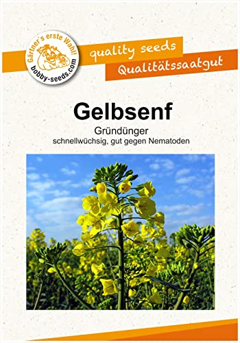 Gelbsenf Bodenkur von bobby-seeds, einjährige Gründüngung Portion