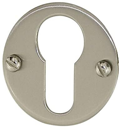 DT 2000 132072 Rosace acier cylindre pour porte intérieur/extérieur Nickelé Satiné