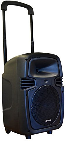 Enceinte Trolley et 2 microphones GR B1